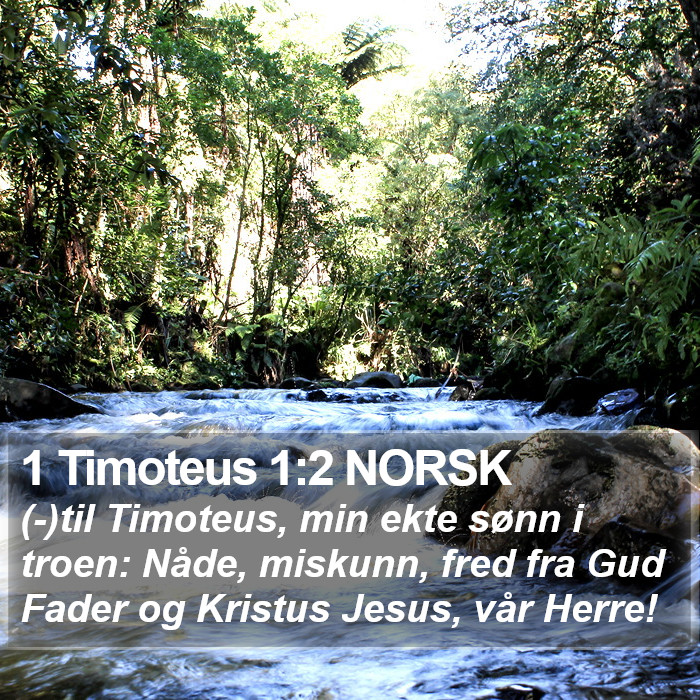 1 Timoteus 1:2 NORSK Bible Study