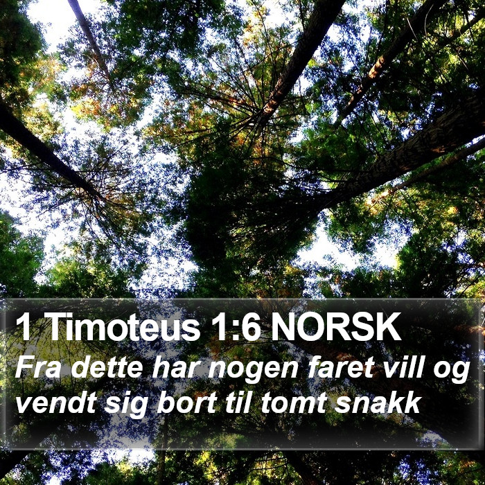 1 Timoteus 1:6 NORSK Bible Study