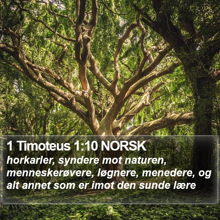 1 Timoteus 1:10 NORSK Bible Study