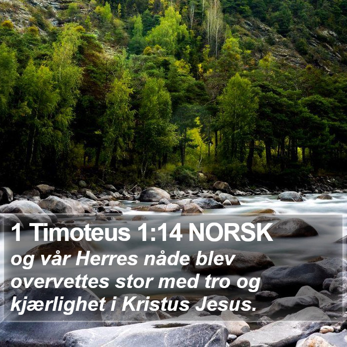 1 Timoteus 1:14 NORSK Bible Study