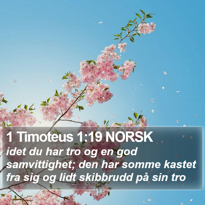 1 Timoteus 1:19 NORSK Bible Study