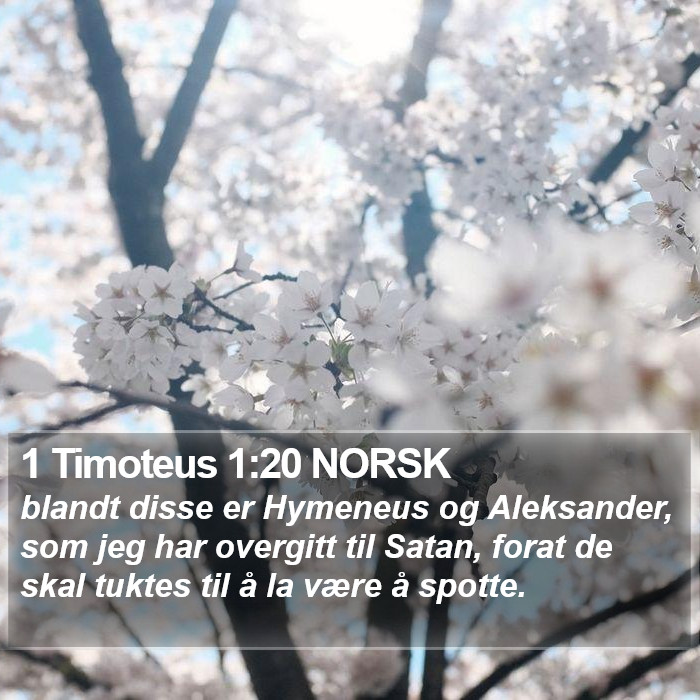 1 Timoteus 1:20 NORSK Bible Study