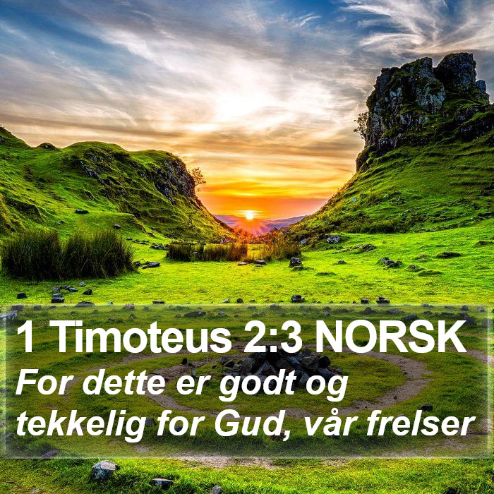 1 Timoteus 2:3 NORSK Bible Study