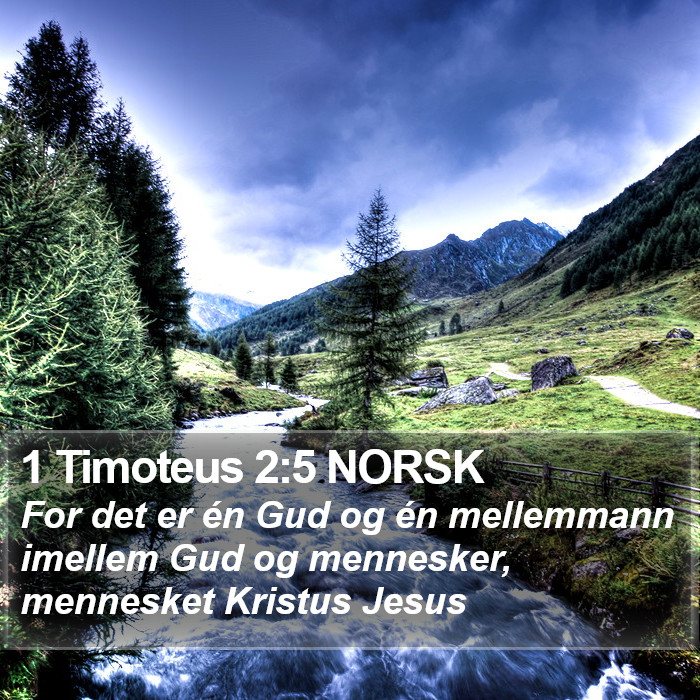 1 Timoteus 2:5 NORSK Bible Study