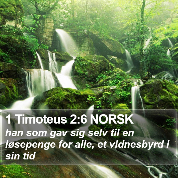 1 Timoteus 2:6 NORSK Bible Study