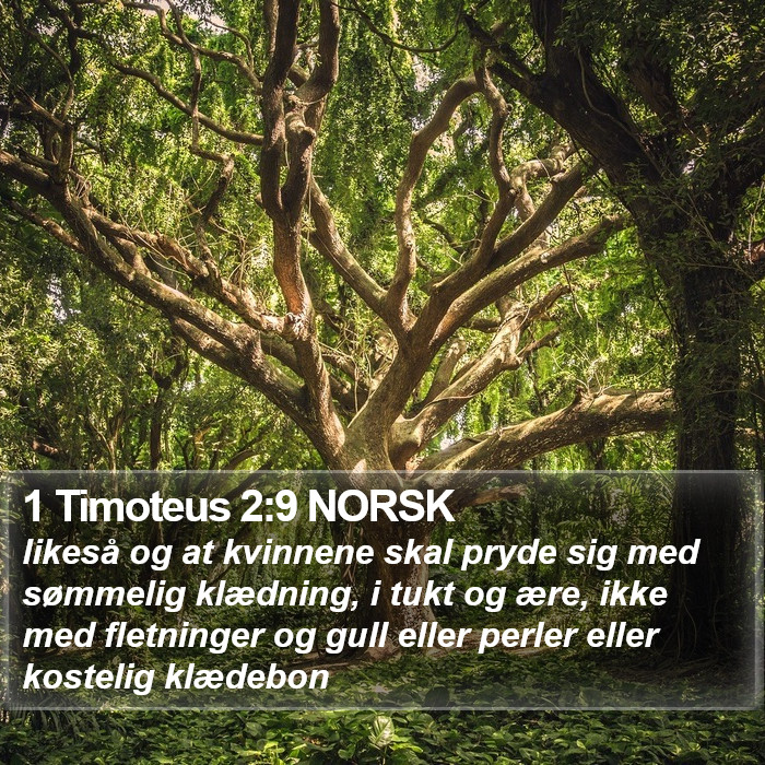 1 Timoteus 2:9 NORSK Bible Study