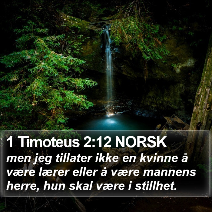 1 Timoteus 2:12 NORSK Bible Study