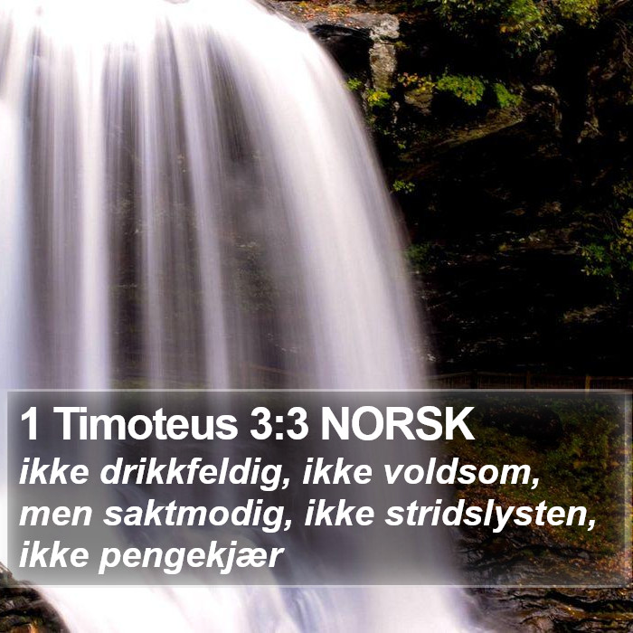 1 Timoteus 3:3 NORSK Bible Study