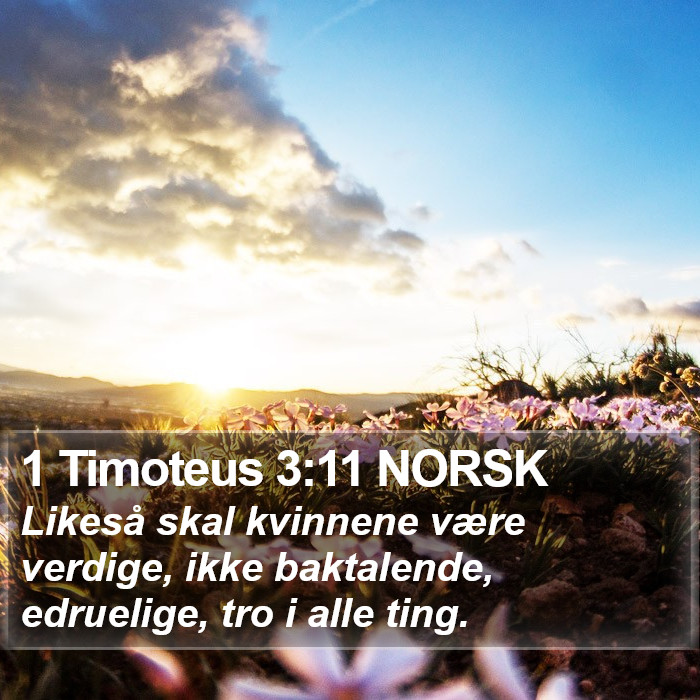 1 Timoteus 3:11 NORSK Bible Study