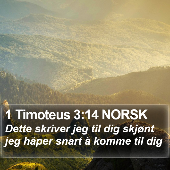 1 Timoteus 3:14 NORSK Bible Study