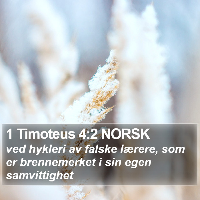 1 Timoteus 4:2 NORSK Bible Study