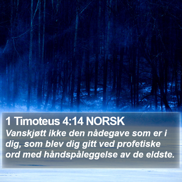 1 Timoteus 4:14 NORSK Bible Study