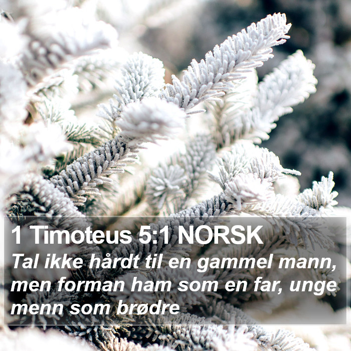 1 Timoteus 5:1 NORSK Bible Study