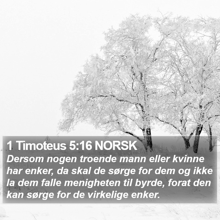 1 Timoteus 5:16 NORSK Bible Study