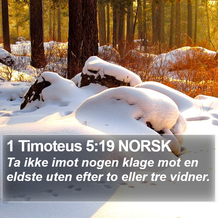 1 Timoteus 5:19 NORSK Bible Study