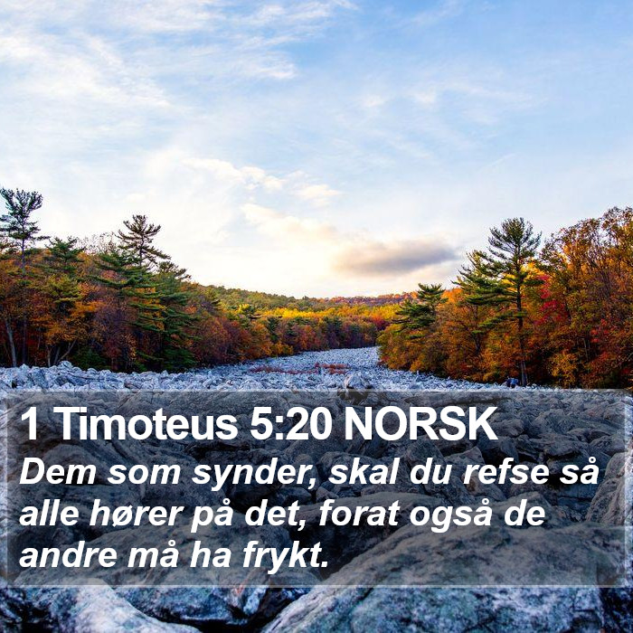 1 Timoteus 5:20 NORSK Bible Study