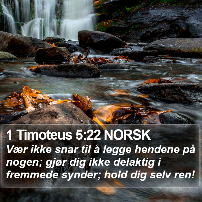 1 Timoteus 5:22 NORSK Bible Study