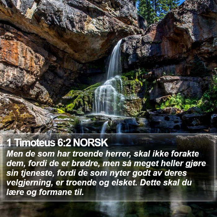 1 Timoteus 6:2 NORSK Bible Study