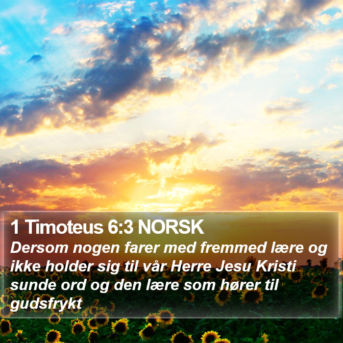 1 Timoteus 6:3 NORSK Bible Study