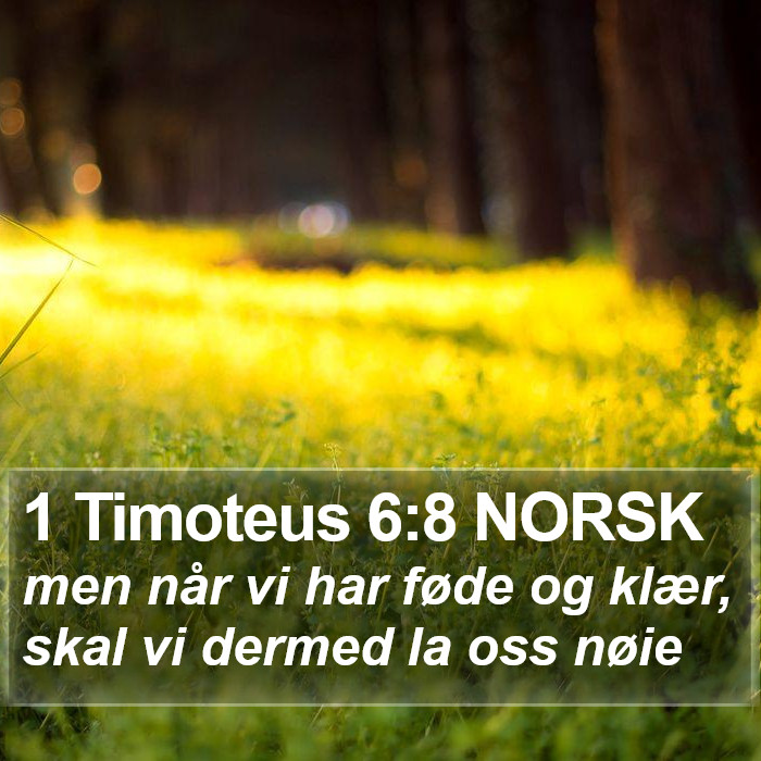 1 Timoteus 6:8 NORSK Bible Study