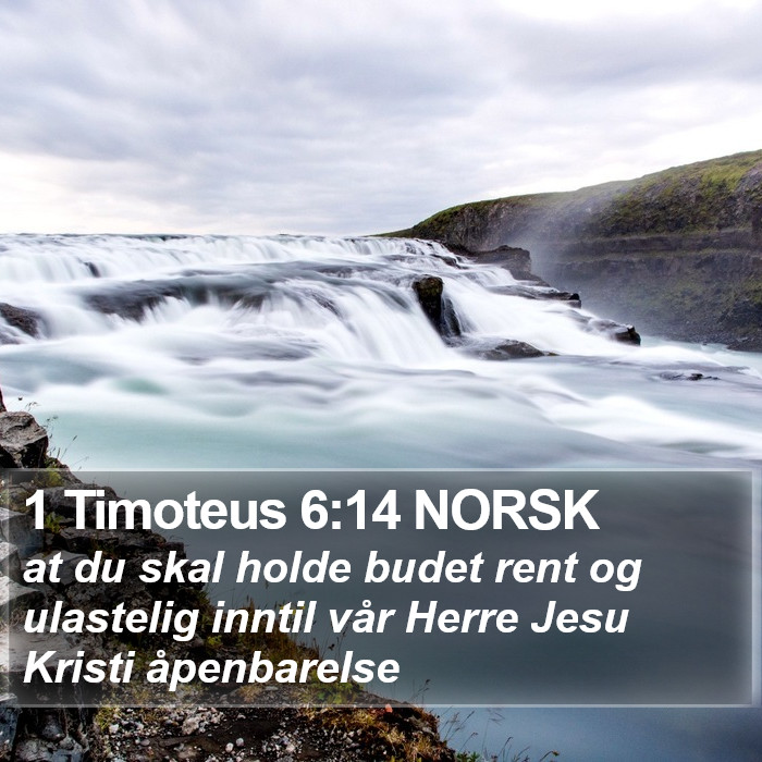 1 Timoteus 6:14 NORSK Bible Study