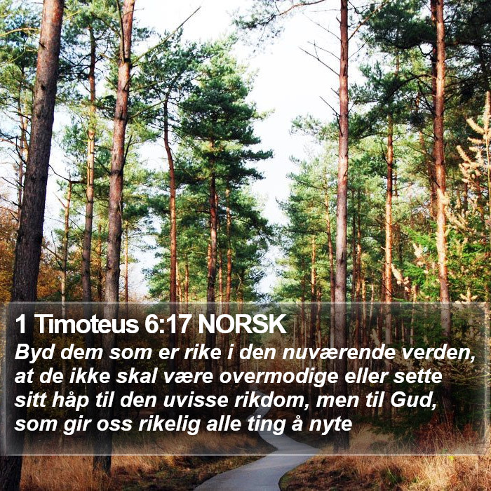 1 Timoteus 6:17 NORSK Bible Study