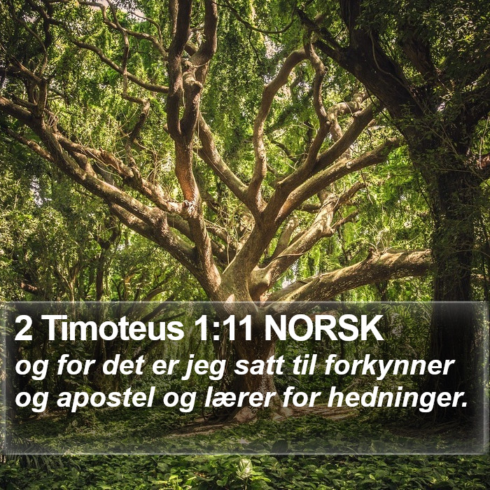 2 Timoteus 1:11 NORSK Bible Study