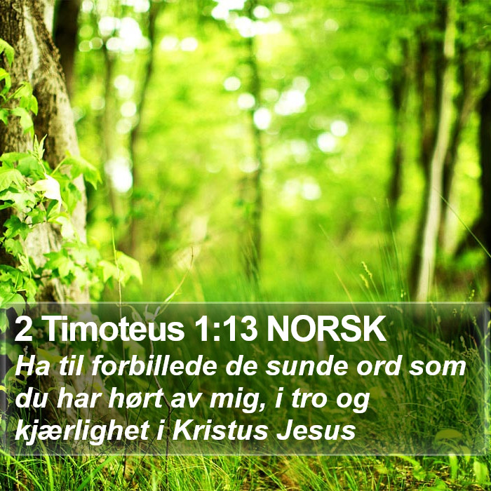 2 Timoteus 1:13 NORSK Bible Study