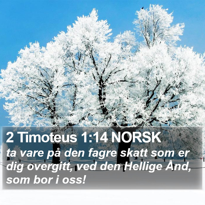 2 Timoteus 1:14 NORSK Bible Study