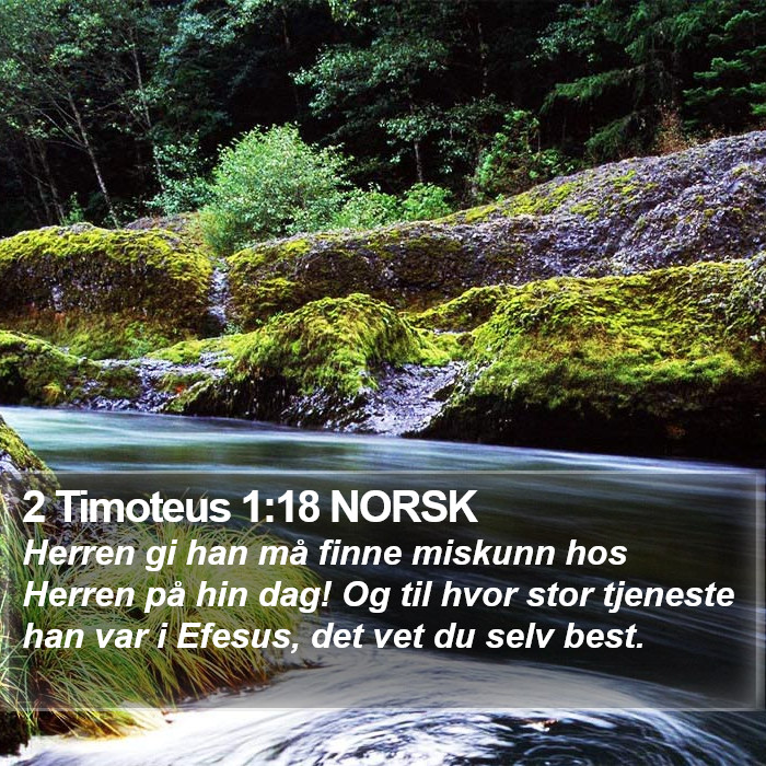 2 Timoteus 1:18 NORSK Bible Study