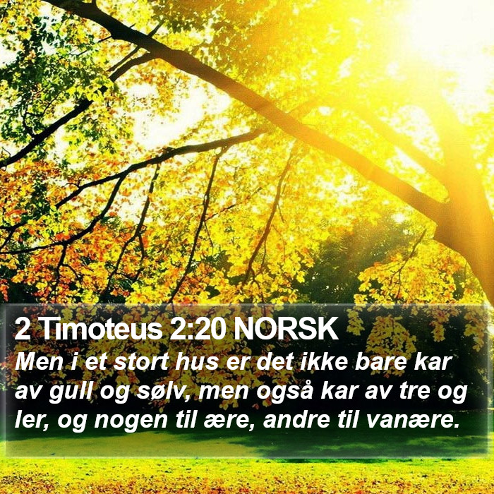 2 Timoteus 2:20 NORSK Bible Study