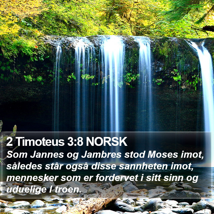 2 Timoteus 3:8 NORSK Bible Study