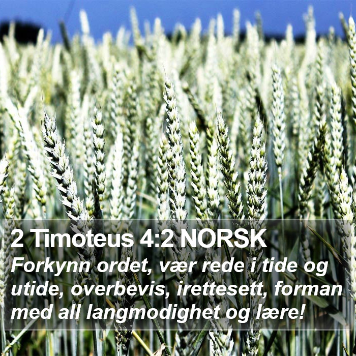 2 Timoteus 4:2 NORSK Bible Study