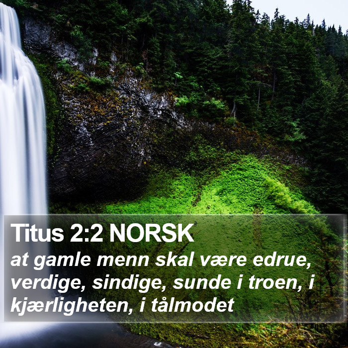 Titus 2:2 NORSK Bible Study