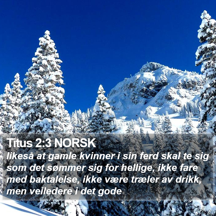 Titus 2:3 NORSK Bible Study