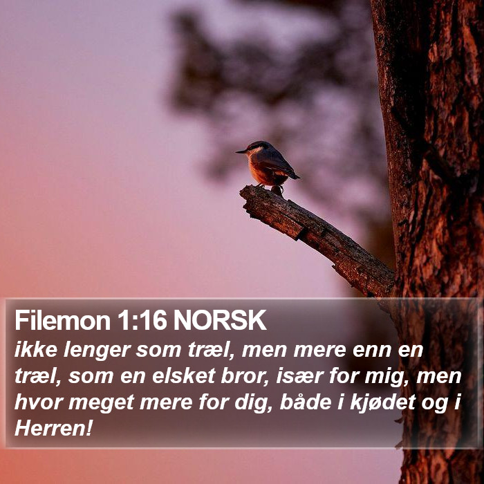 Filemon 1:16 NORSK Bible Study