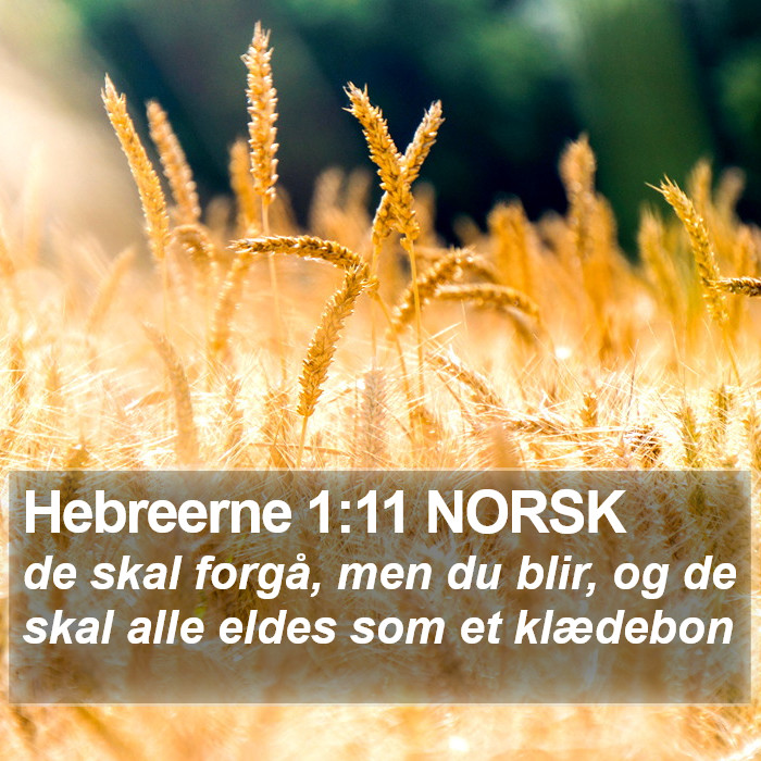 Hebreerne 1:11 NORSK Bible Study