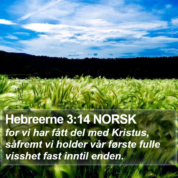 Hebreerne 3:14 NORSK Bible Study