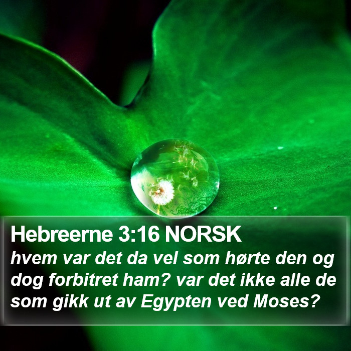 Hebreerne 3:16 NORSK Bible Study