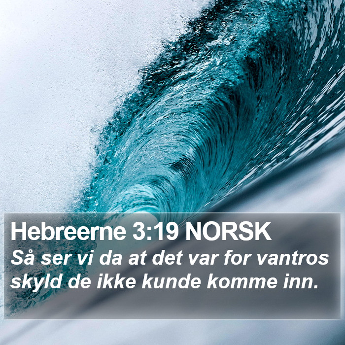 Hebreerne 3:19 NORSK Bible Study