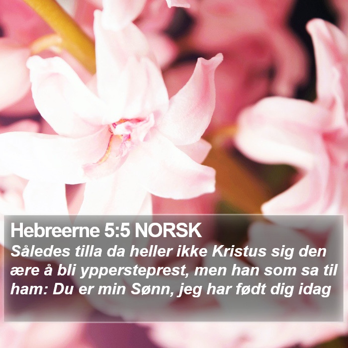 Hebreerne 5:5 NORSK Bible Study
