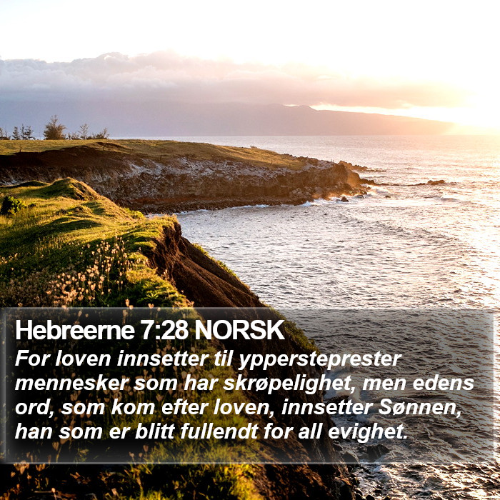 Hebreerne 7:28 NORSK Bible Study