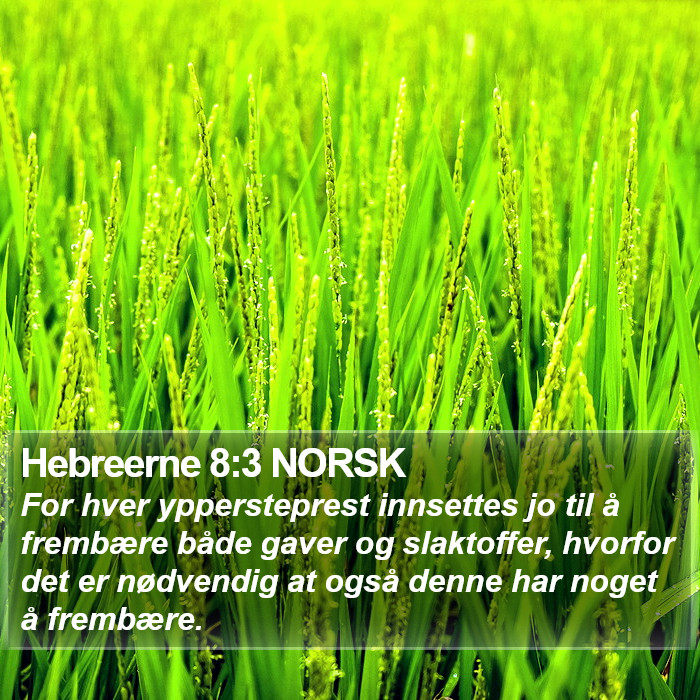 Hebreerne 8:3 NORSK Bible Study