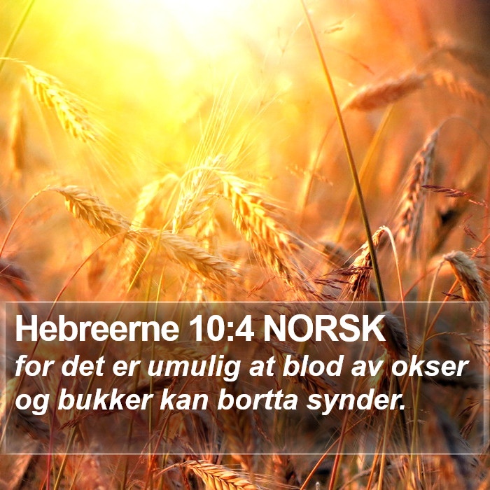 Hebreerne 10:4 NORSK Bible Study