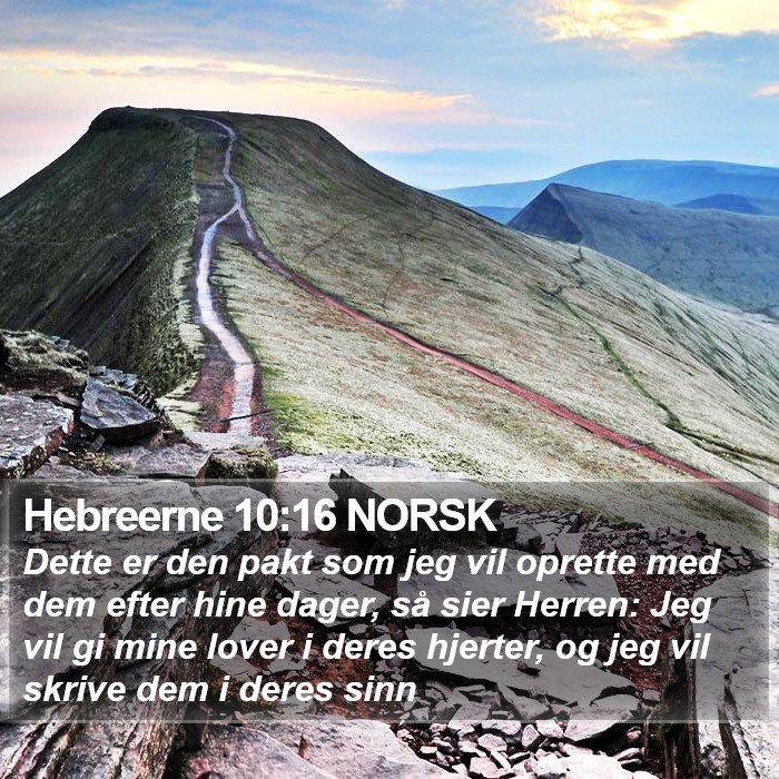 Hebreerne 10:16 NORSK Bible Study