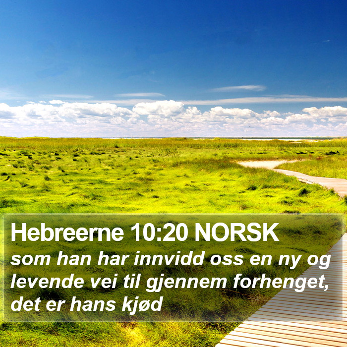 Hebreerne 10:20 NORSK Bible Study