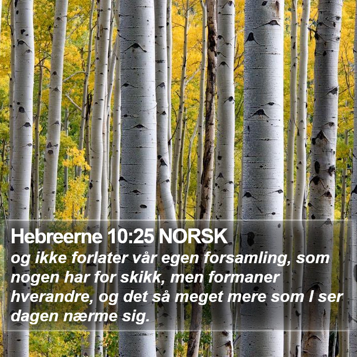 Hebreerne 10:25 NORSK Bible Study