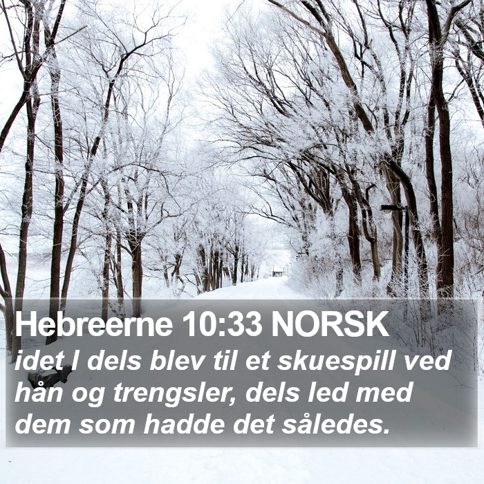 Hebreerne 10:33 NORSK Bible Study