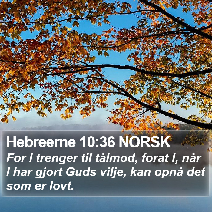 Hebreerne 10:36 NORSK Bible Study