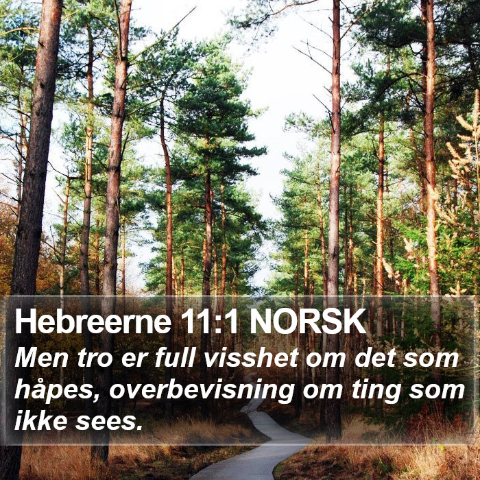 Hebreerne 11:1 NORSK Bible Study